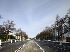 Am Abzweig Friedrich-Brugger-Weg. Die Baustelle entlang der Fürstenrieder hat im November 2024 auch den Abschnitt zwischen Laim und Sendling erreicht, die Mittelleitplanken und alle Bäume wurden bereits entfernt.