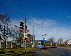 Seit Januar 2025 auch dies möglich, Überquering der Anni-Albers-Straße mit dem Ziel Romanplatz