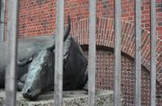 Hinter Gittern: Der Bulle vom Schlachthof