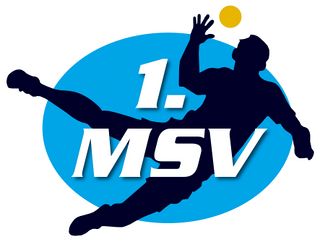 1.msv logo rgb 300.jpg